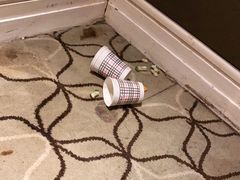 -成都诺亚8号酒店