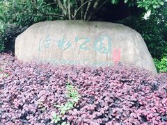 iphone_upload_pic-活水公园