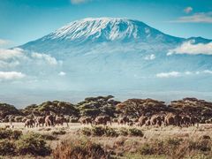 -乞力马扎罗山