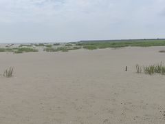 -奉贤海滩