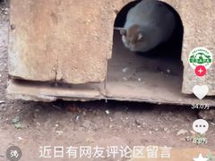 -云南野生动物园