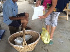 -马陆小张葡萄园农家乐