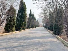 -金龙寺国家森林公园
