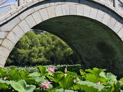 -长春市南湖公园