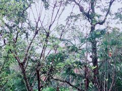 -成都杜甫草堂博物馆