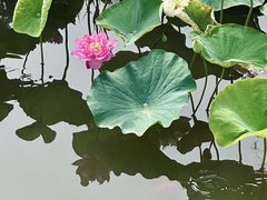 -廊坊文化艺术中心