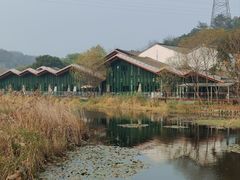 -西湖风景区-江洋畈生态公园