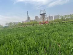 -永定河休闲森林公园