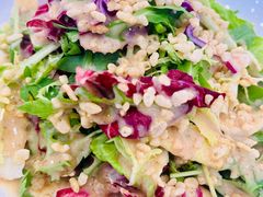 养生大拌菜-簋街仔仔小龙虾(总店)