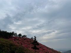 -木兰云雾山