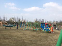 -上海长兴岛郊野公园