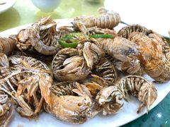-锐记美食店·现捞海鲜(闸坡店)