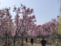 -梁鸿国家湿地公园