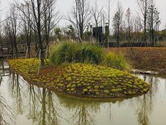 -柳鹭田园区