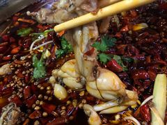 -麻辣巅峰美蛙鱼头火锅(犀浦店)