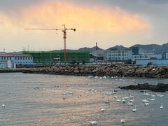 -烟墩角天鹅湖