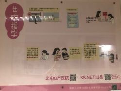 -北京妇产医院(东院)