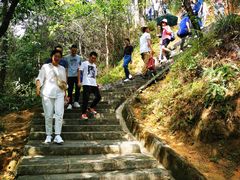 -广州白江湖森林公园