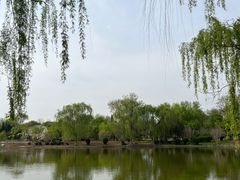 -石家庄市植物园