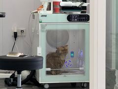 -爱洗澡的猫(望京店)