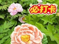 -太阳宫公园