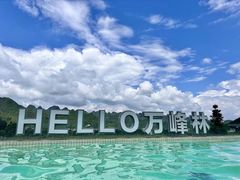 -万峰林风景区
