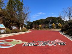 -广州市流溪河国家森林公园