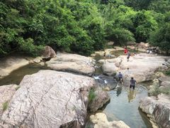 -广州白江湖森林公园