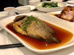 清蒸青衣鱼-同乐轩港式早茶