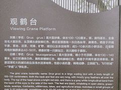 -野鸭湖国家湿地公园