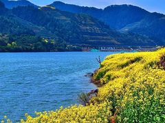 -新安江山水画廊风景区