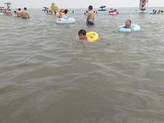 -碧海金沙