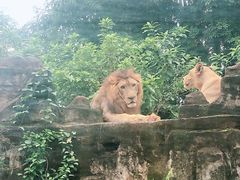 -海南热带野生动植物园