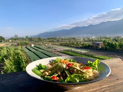 -翠田Green Field Kitchen
