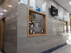-瑞派名望志远动物医院·猫科·內科·异宠专科(直港大道店)