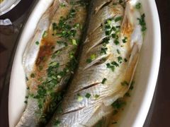 清蒸太湖白鱼-呼吸森林·生态农庄农家乐私房菜