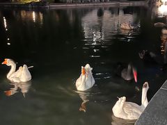 -舜耕山庄四时万和自助餐厅