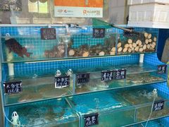 -北戴河庆山饭店·海鲜砂锅粥(北戴河黑石路店)