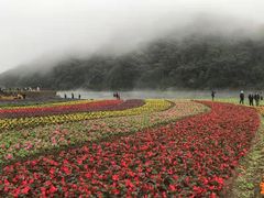 -广州市石门国家森林公园