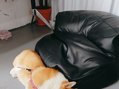 -LaFBagel手作烘焙工作室