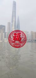 -Doris一站式游轮婚礼船东直营店(外滩店)
