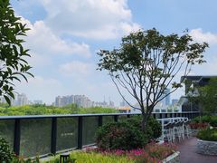 -金银湖国家城市湿地公园