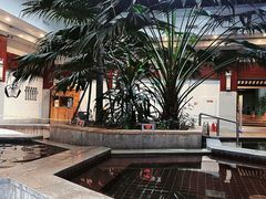 -国信南山温泉