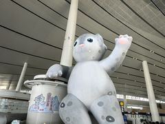 -西宁曹家堡国际机场-T2航站楼
