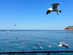 -海驴岛(荣成市)