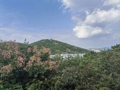 -北岭山森林公园