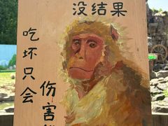 -合肥野生动物园