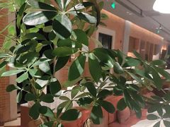 -漢舍中国菜馆(浦东嘉里城店)
