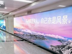 -石家庄正定国际机场-T2航站楼