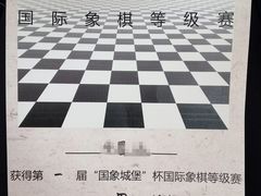 -常青藤国际象棋(新奥店)